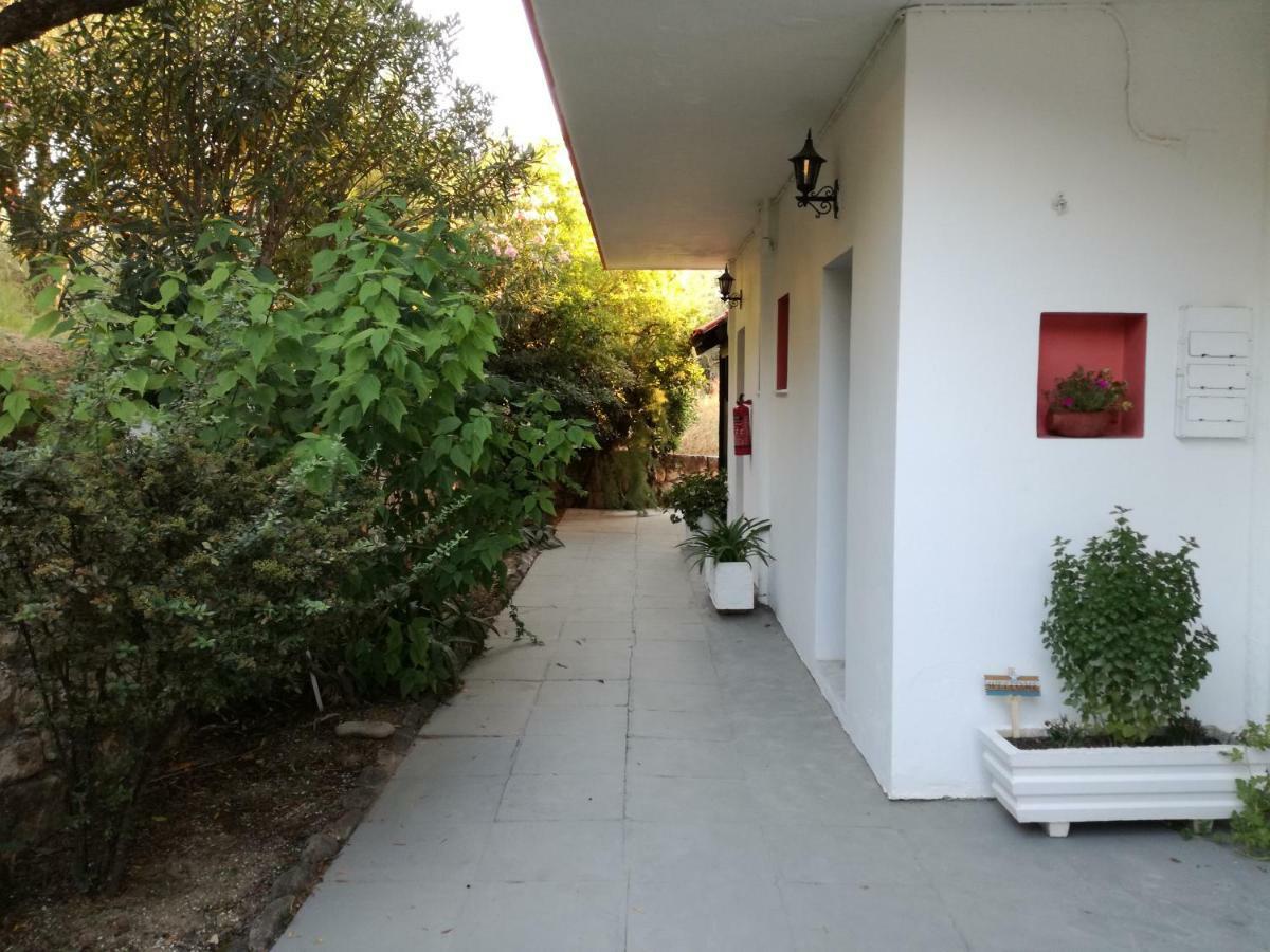 Tony Studio & Apartments Laganas Exterior foto